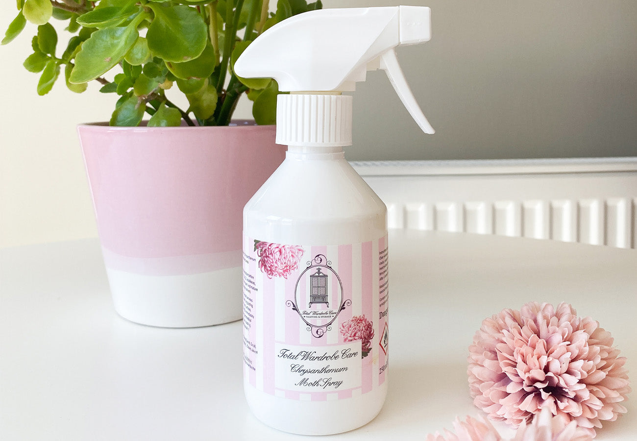 Chrysanthemum moth killer spray beside pink ombre flower pot